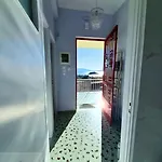View Толон