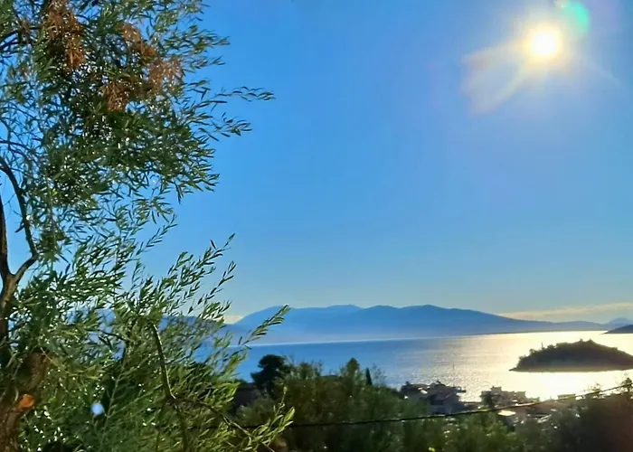 View * Τολό