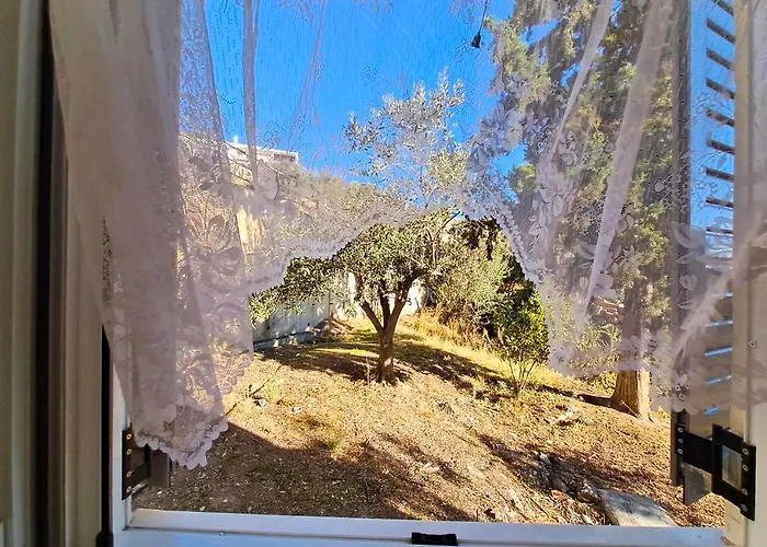 View * Τολό